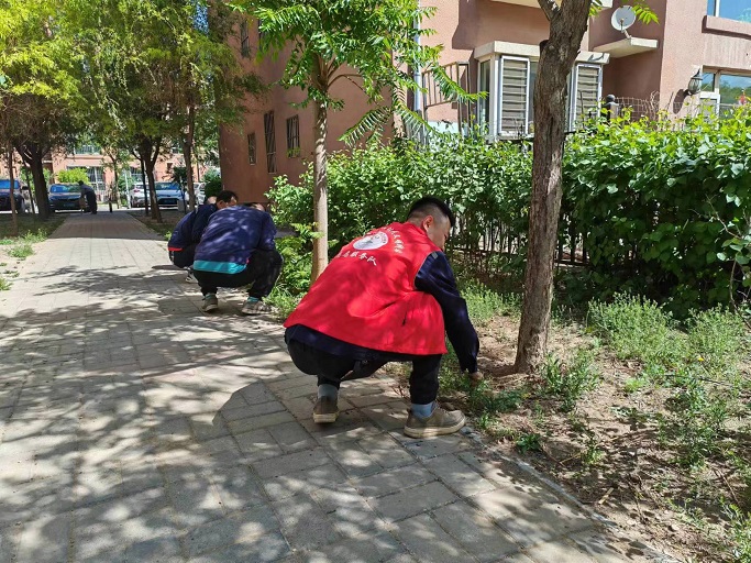 2.jpg 2.jpg